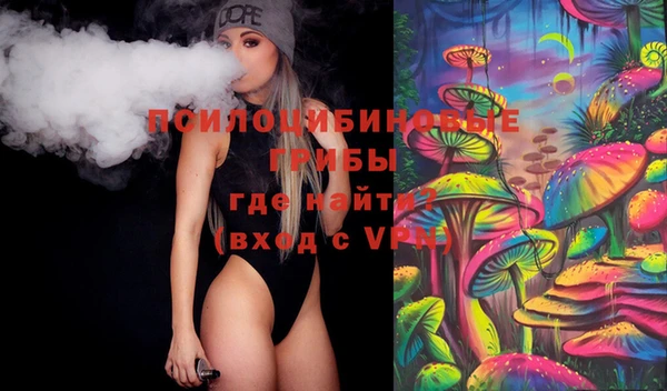 МДПВ Абаза