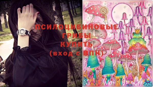МДПВ Абаза