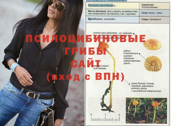 амфетамин Абинск